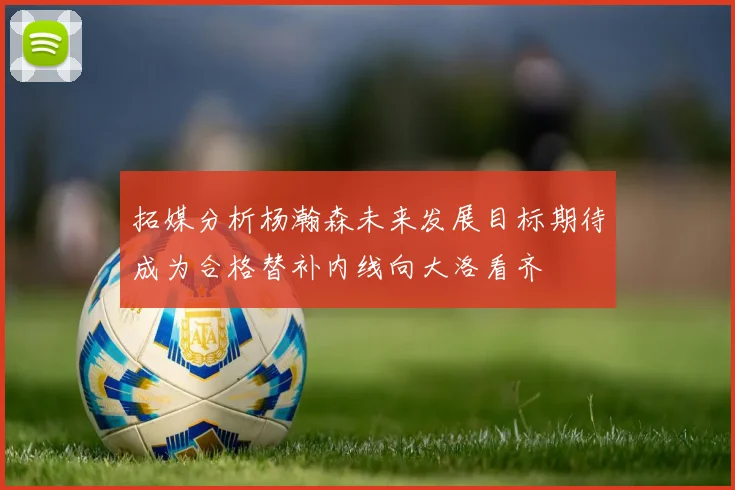 拓媒分析杨瀚森未来发展目标期待成为合格替补内线向大洛看齐