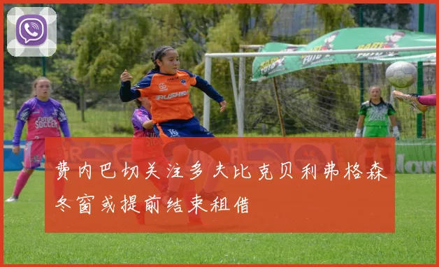 费内巴切关注多夫比克贝利弗格森冬窗或提前结束租借