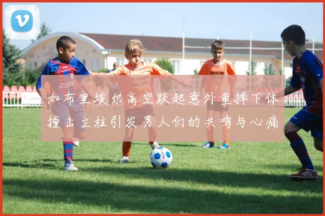 加布里埃尔高空跃起意外重摔下体撞击立柱引发男人们的共鸣与心痛