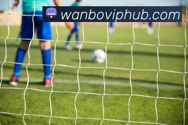 万博体育发展历程